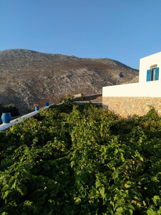 Cycladic Houses In Rural Surrounding Аморгос Экстерьер фото