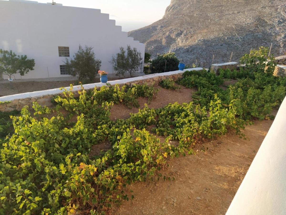 Cycladic Houses In Rural Surrounding Аморгос Экстерьер фото